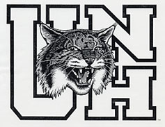 1993 Wildcat Logo