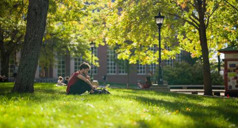 Student studying on lawn in front of Dimond Library