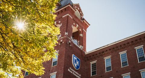 Looking up at UNH Manchester building with sun coming through the leaves of a tree