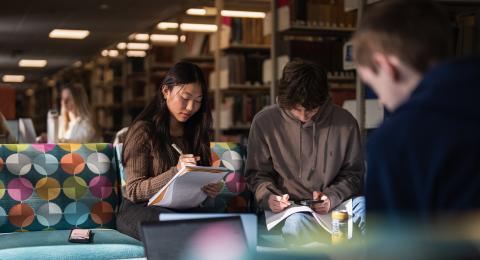 Students studying in Dimond Library