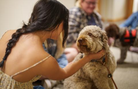 Student bonding with a visiting therapy dog