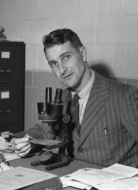 Albion Reed Hodgdon sitting at his desk with a microscope