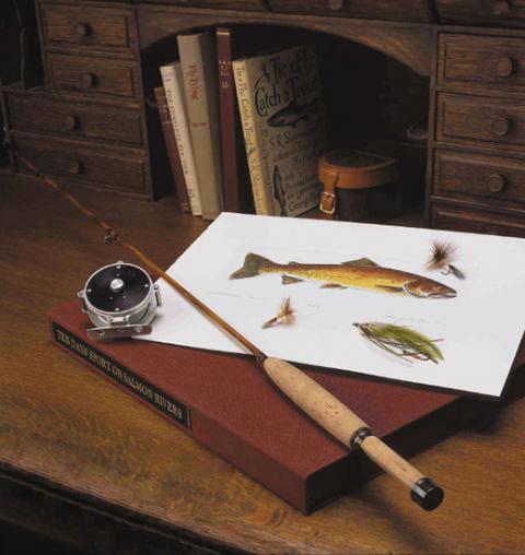 fish illustration and fly rod and reel