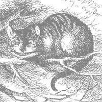 illustration of  cat