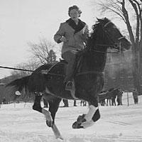woman riding a horse