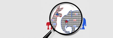 Democratic and Republican icons under a magnifying glass