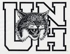 1993 Wildcat logo