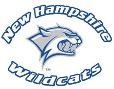 2000 Wildcat logo