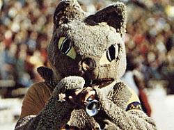 1974 Wildcat mascot