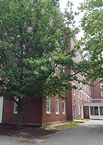 Rear of Devine Hall with view of the Niche, July 2016.