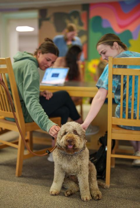 Students petting therapy dog during Frazzle Free Finals in Dimond Library