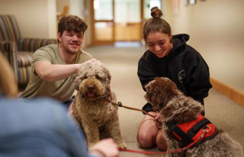 Students spending time with therapy dogs in Dimond Library during finals